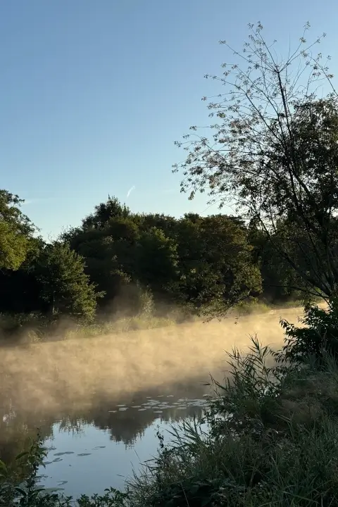 Nebelige Wasserlandschaft bei Hage in Ostfriesland